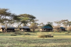 2025-30-Africa-Tent-Camp