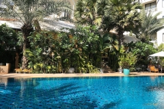 Wendy-Lyndons-Travels-2019-11-28-07.03.11-Wendy-Lyndons-T