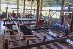 Wendy-Lyndons-Travels-2019-12-03-00.54.31-Wendy-Lyndons-T