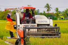 Wendy-Lyndons-Travels-2019-12-03-19.21.09-Wendy-Lyndons-T