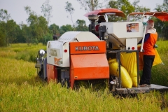 Wendy-Lyndons-Travels-2019-12-03-19.21.39-Wendy-Lyndons-T