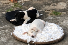 Wendy-Lyndons-Travels-2019-12-05-09.40.44-Wendy-Lyndons-T