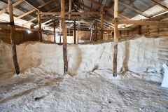 Wendy-Lyndons-Travels-2019-12-14-06.21.16-Wendy-Lyndons-T