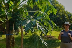 Wendy-Lyndons-Travels-2019-12-14-07.46.07-Wendy-Lyndons-T