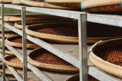 Wendy-Lyndons-Travels-2019-12-14-07.53.53-Wendy-Lyndons-T