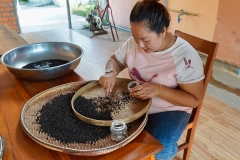 Wendy-Lyndons-Travels-2019-12-14-07.55.18-Wendy-Lyndons-T