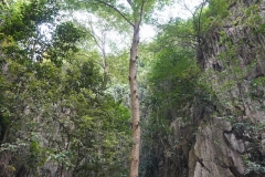 Wendy-Lyndons-Travels-2019-12-14-08.44.34-Wendy-Lyndons-T