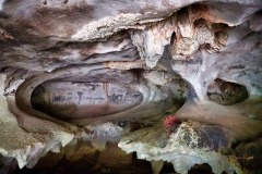 Wendy-Lyndons-Travels-2019-12-14-08.48.29-Wendy-Lyndons-T