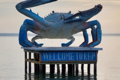 Wendy-Lyndons-Travels-2019-12-14-09.52.29-Wendy-Lyndons-T