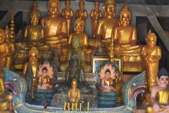 Wendy-Lyndons-Travels-2019-12-16-07.09.47-Wendy-Lyndons-T