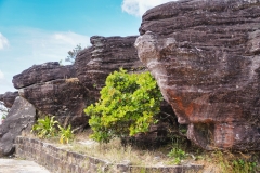 Wendy-Lyndons-Travels-2019-12-16-07.15.40-Wendy-Lyndons-T