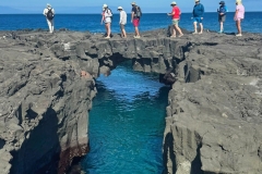 41193906-c788-4ed3-b82d-eed92070318f