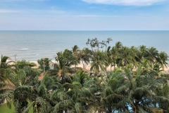 Wendy-Lyndons-Travels-2020-01-01-08.20.30-Wendy-Lyndons-T