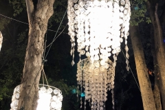 Wendy-Lyndons-Travels-2020-01-04-11.54.31-Wendy-Lyndons-T