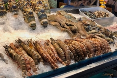 Wendy-Lyndons-Travels-2020-01-07-13.18.45-Wendy-Lyndons-T