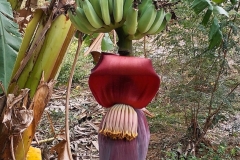 Wendy-Lyndons-Travels-2020-01-11-08.47.59-Wendy-Lyndons-T