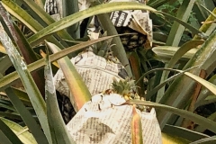 Wendy-Lyndons-Travels-2020-01-11-09.25.36-Wendy-Lyndons-T