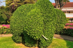 Wendy-Lyndons-Travels-2020-01-12-08.53.56-Wendy-Lyndons-T