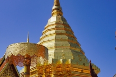 Wendy-Lyndons-Travels-2020-01-16-04.59.58-Wendy-Lyndons-T