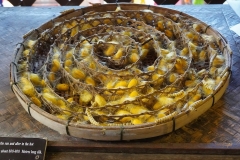 Wendy-Lyndons-Travels-2020-01-16-07.48.10-Wendy-Lyndons-T