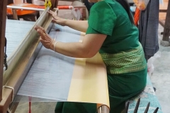 Wendy-Lyndons-Travels-2020-01-16-07.51.06-Wendy-Lyndons-T