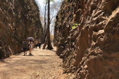 Wendy-Lyndons-Travels-2020-02-10-05.34.54-Wendy-Lyndons-T