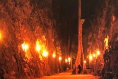 Wendy-Lyndons-Travels-2020-02-10-05.47.11-Wendy-Lyndons-T