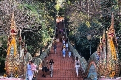 thumbs-Wendy-Lyndons-Travels-2020-01-15-04.23.09-Wendy-Lyndons-T