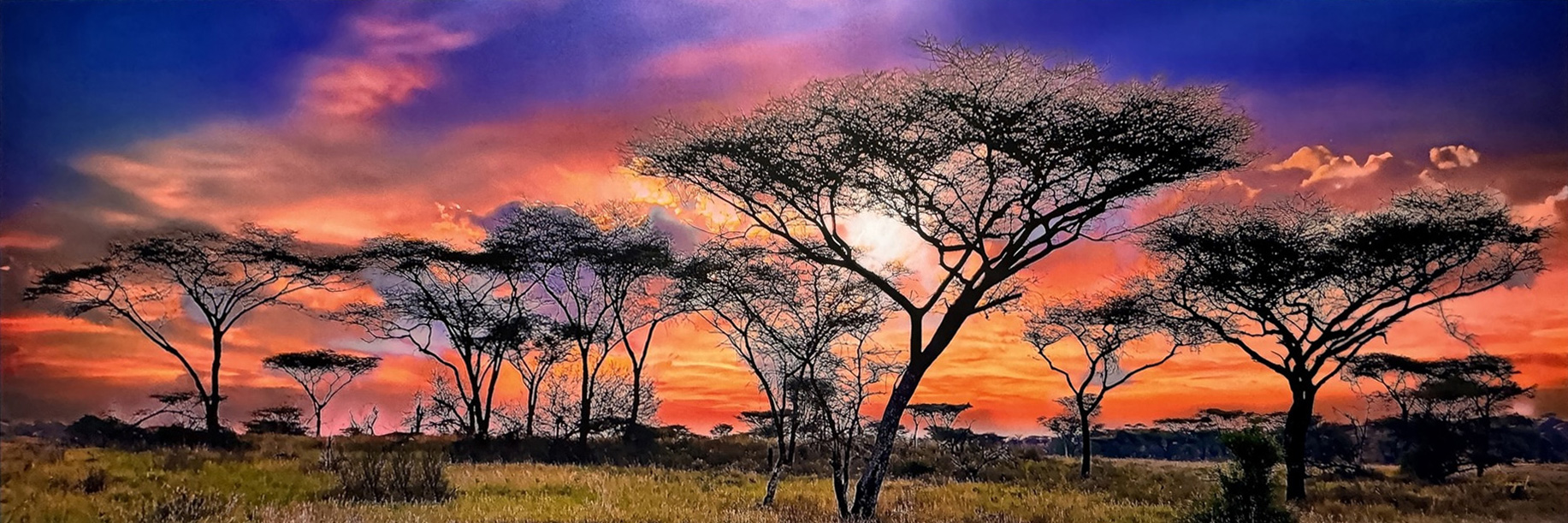 Serengeti Sunset